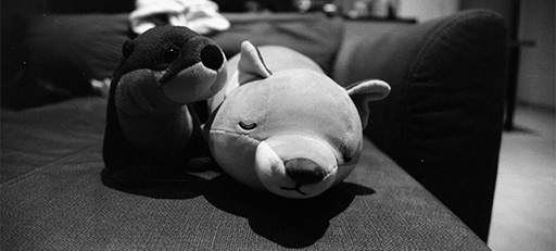 Film Photography
