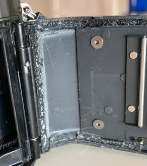 Lightseal_Damage