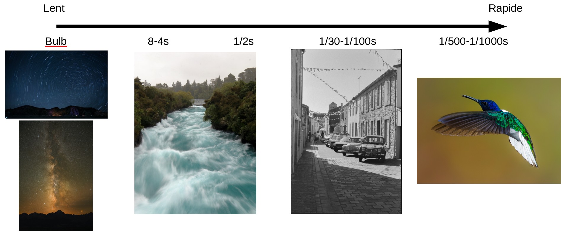 Speed_Examples