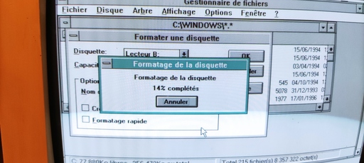 Formatage en cours